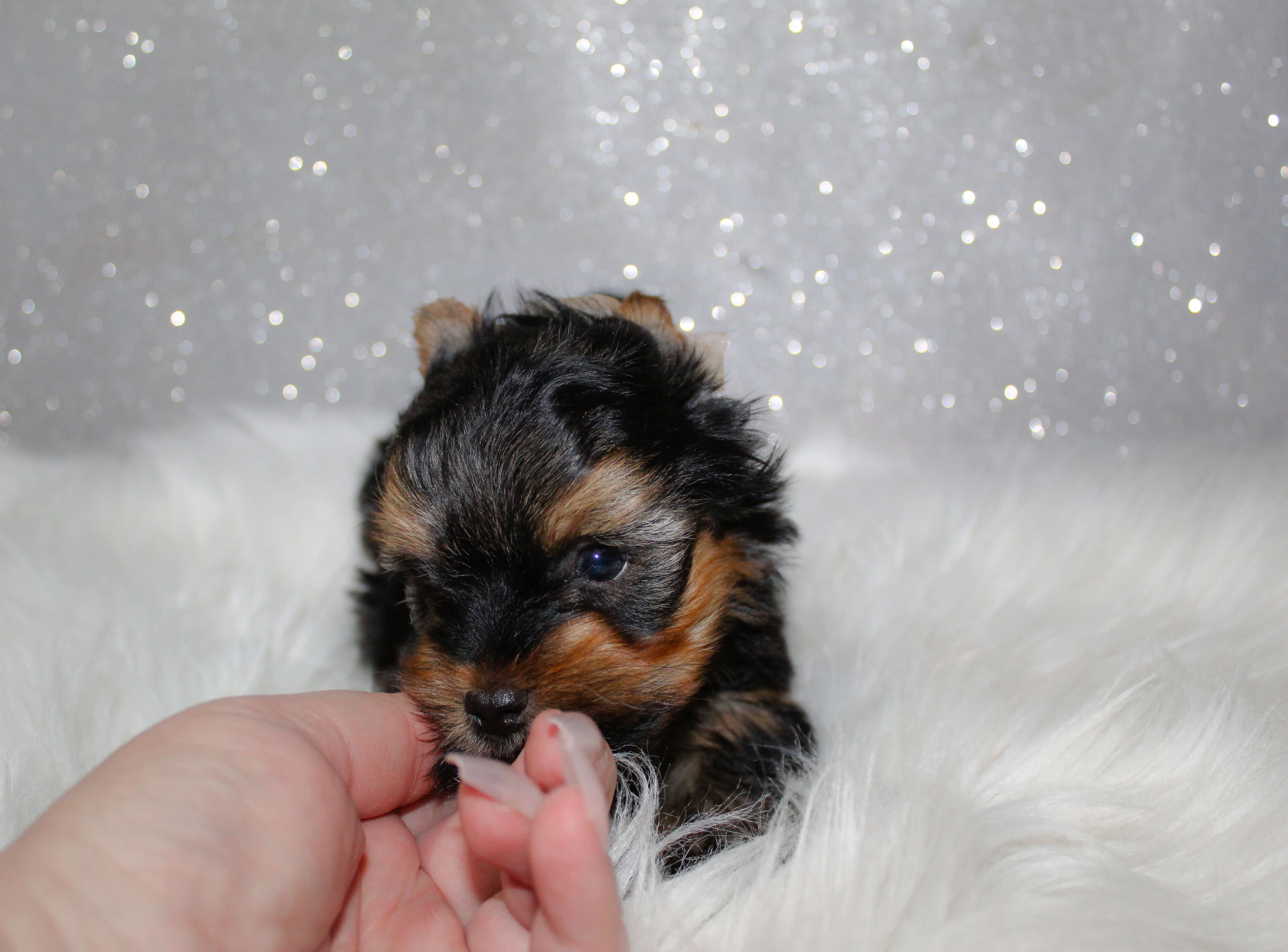 IMG_7289_edited IMG_7289_edited