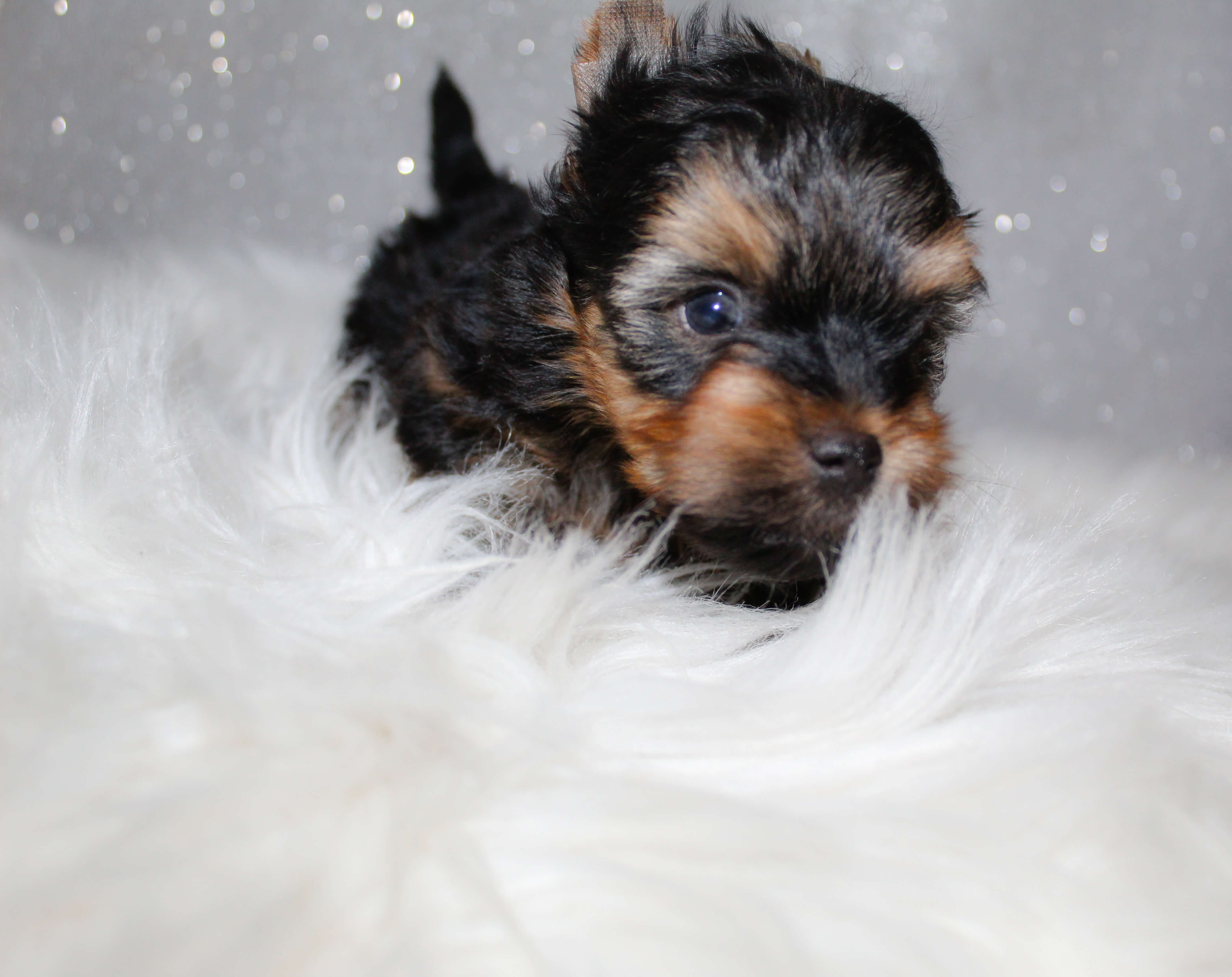 IMG_7290_edited IMG_7290_edited