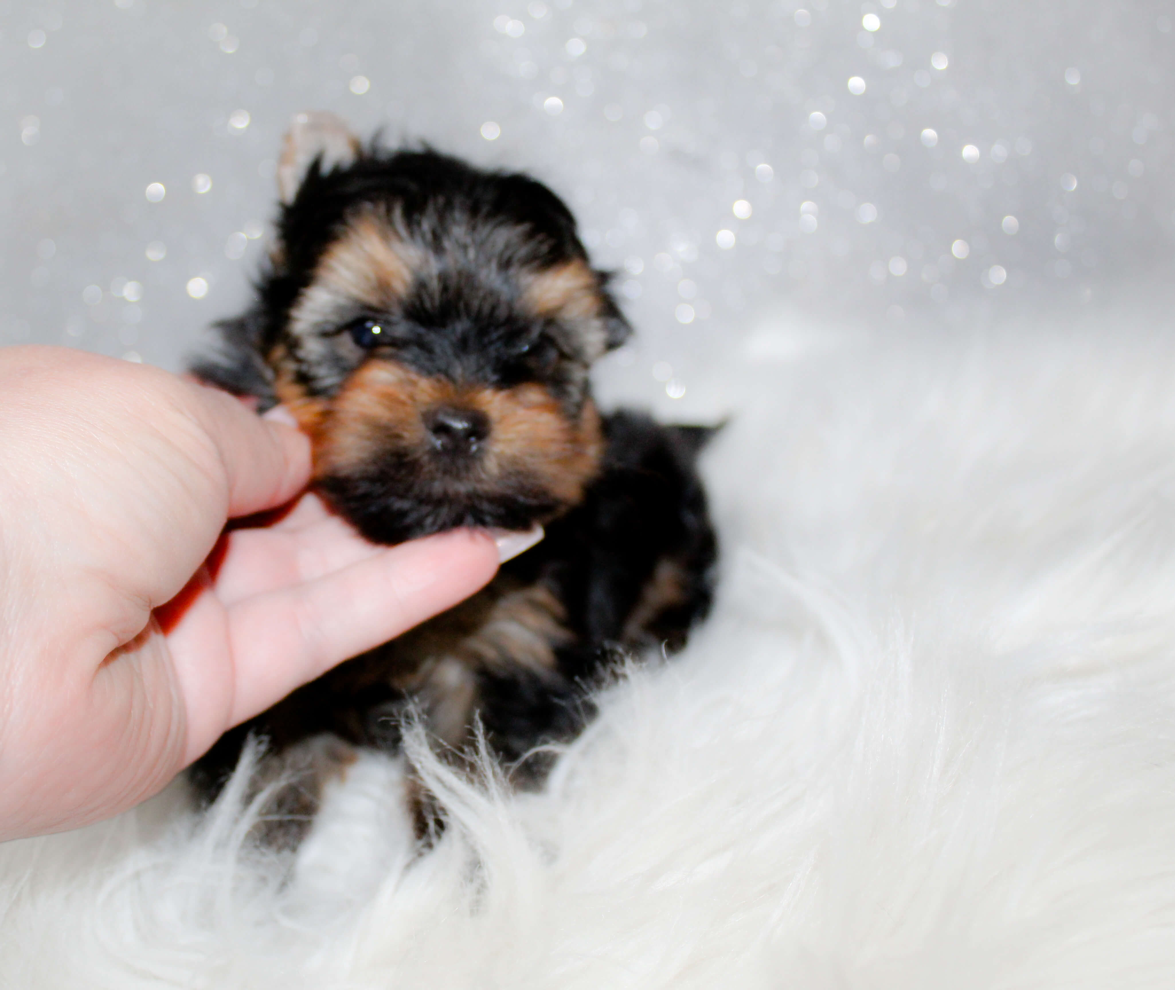 IMG_7292_edited IMG_7292_edited