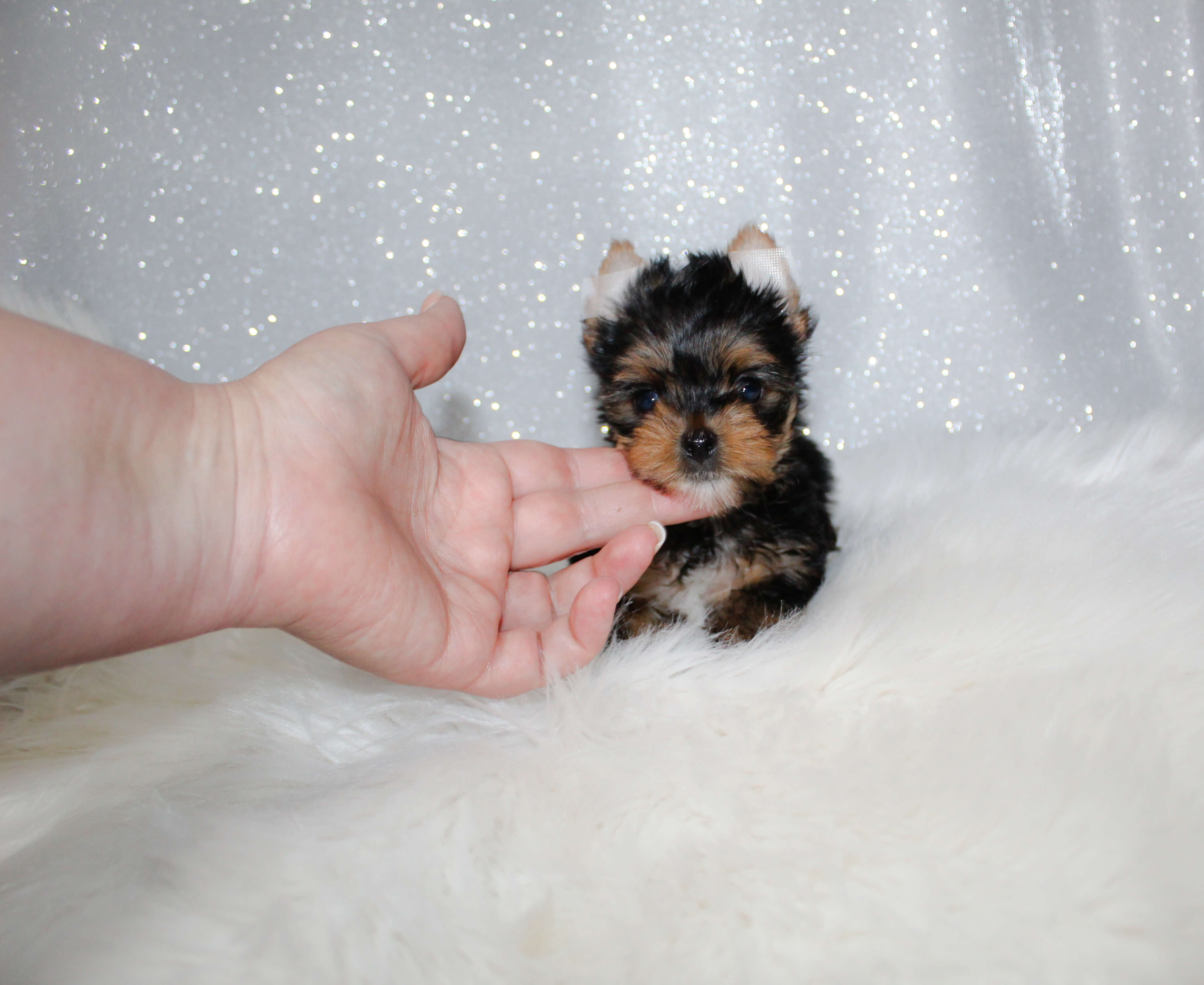 IMG_8782_edited IMG_8782_edited