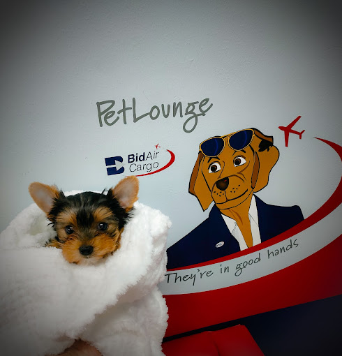 PetLounge